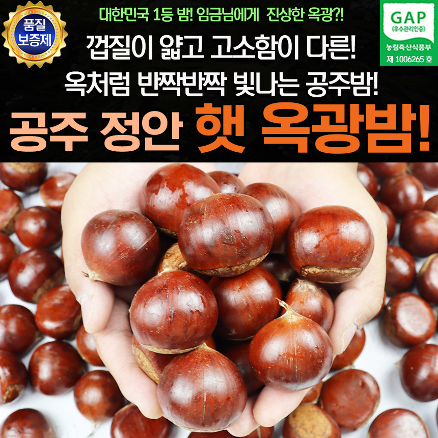 공주 정안 옥광밤 중 2kg : 웰빙하우스특가