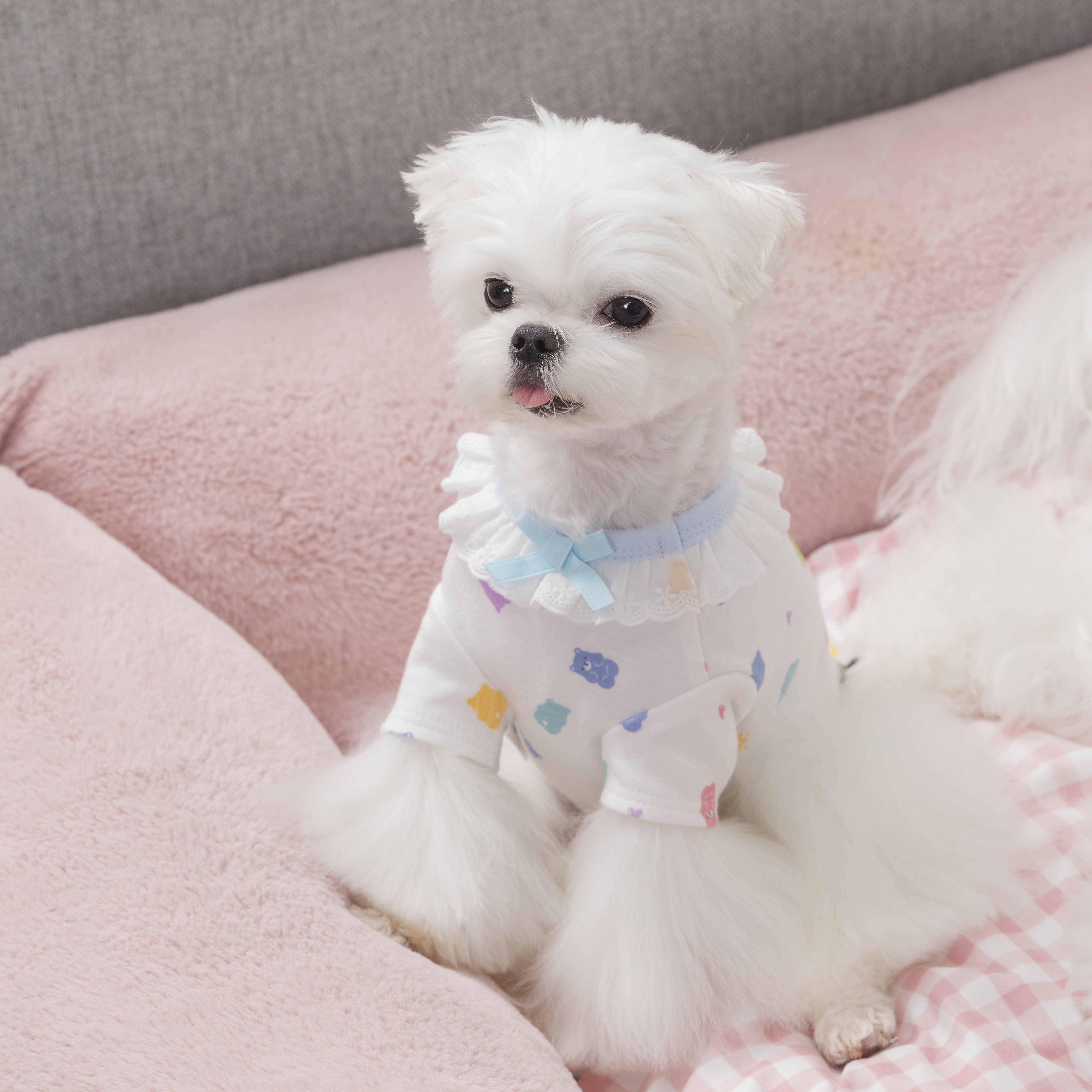 오프닝뮤즈 젤리 티셔츠 오가닉 강아지실내복 강아지잠옷