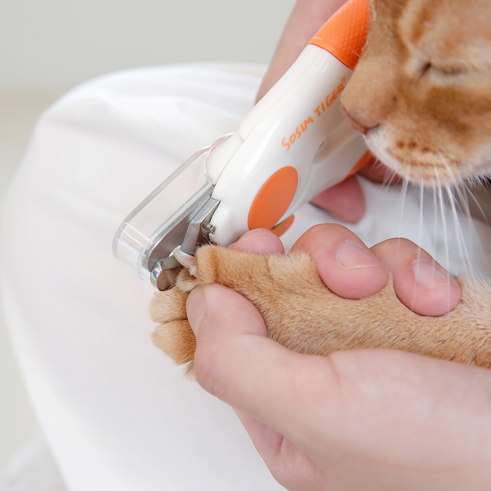 소심한호랑이 강아지 고양이발톱깎기 발톱깎이