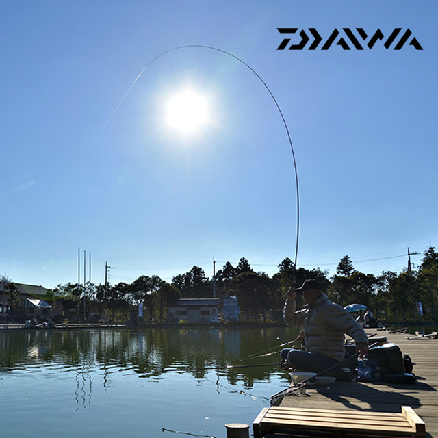 한국 다이와 헤라 V 민물 중층 내림 붕어 낚시대 8척