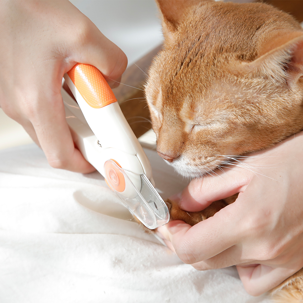 소심한호랑이 강아지 고양이발톱깎기 발톱깎이