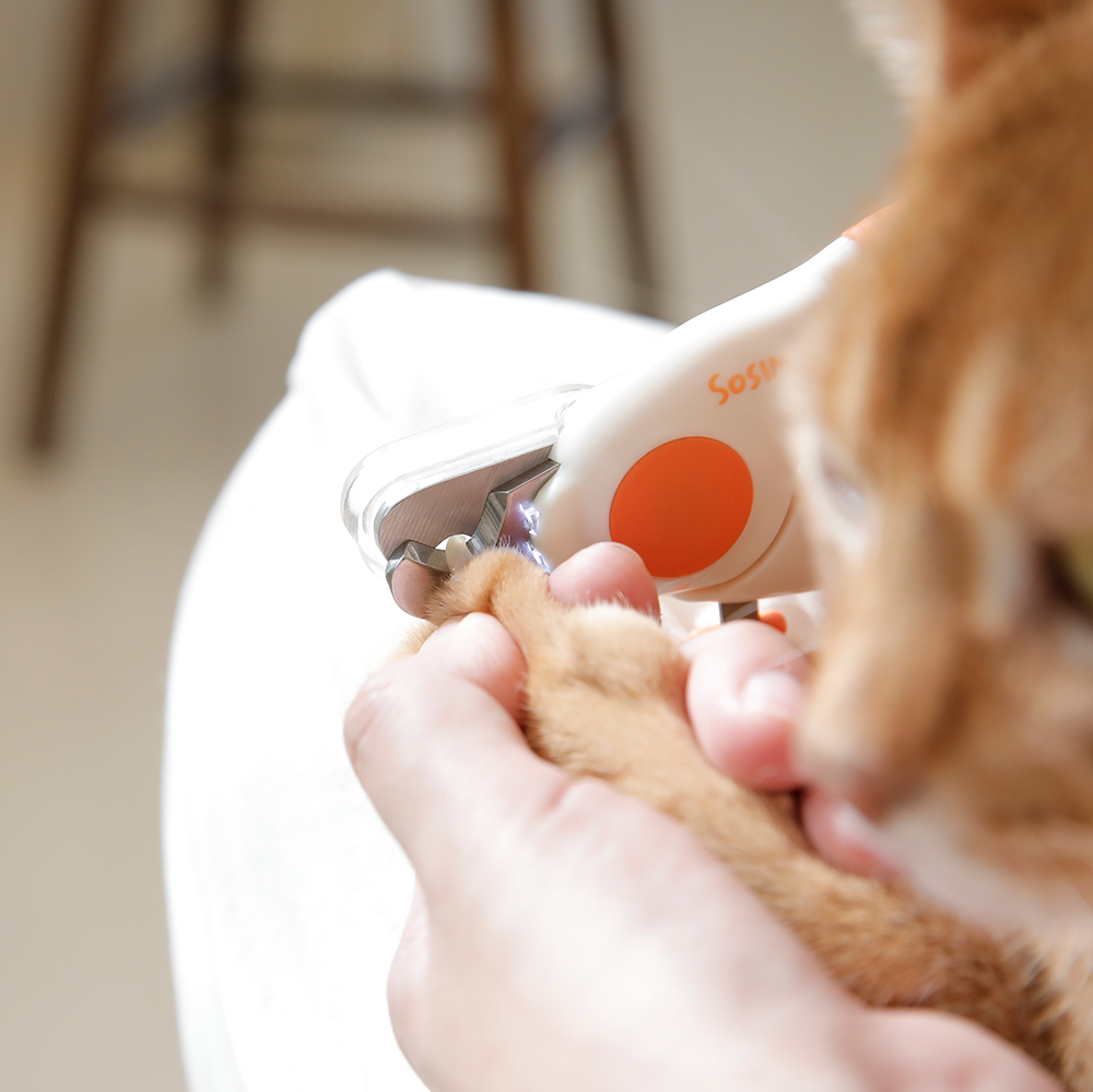 소심한호랑이 강아지 고양이발톱깎기 발톱깎이