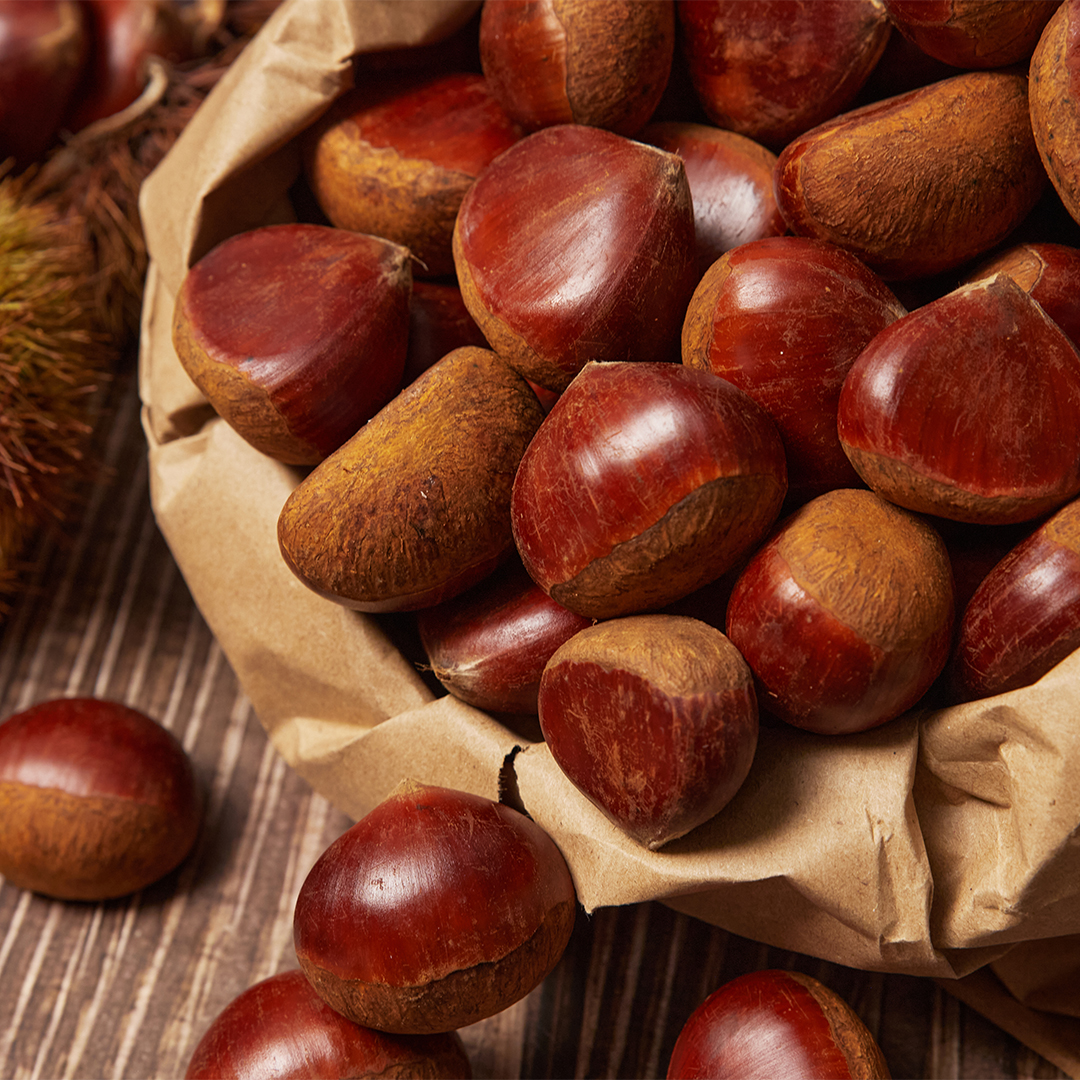 25년 햇밤 공주밤 공주 부여 밤 알밤 2kg 상세 이미지 6