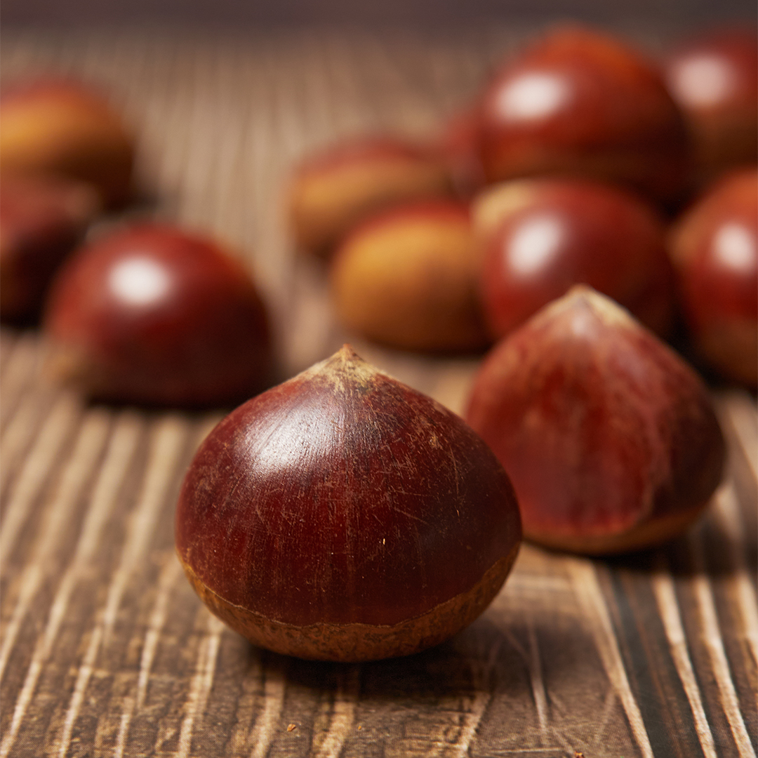 25년 햇밤 공주밤 공주 부여 밤 알밤 2kg 상세 이미지 7