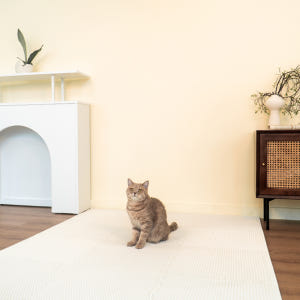 정글몬스터 고양이 쏙쏙 모래 매트 퍼즐 화장실 사막화방지 대형 솔직 후기 | 실제 사용자 리뷰 총정리 - 상품 이미지 3