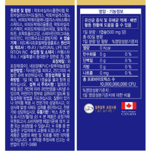 알약유산균 엄마 어른유산균 중학생 고등학생 수험생 유산균 맛있게 먹은 솔직 후기 - 상품 이미지 4