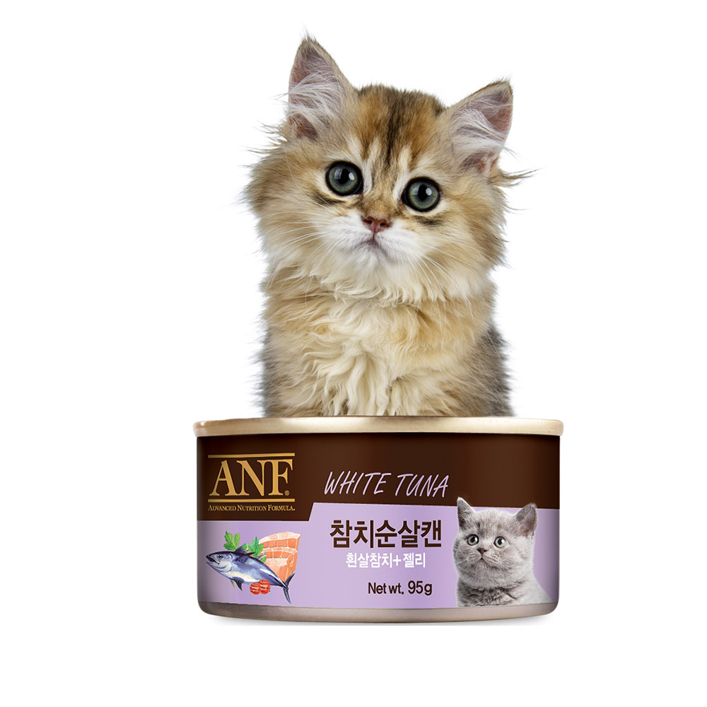 ANF 고양이캔 95g x24 1BOX - 상품 이미지