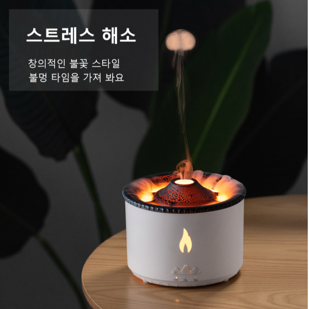 노필터가습기 비염 불명가습기