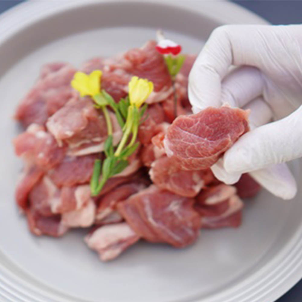 양고기 양갈비 숄더랙 프렌치랙 토마호크 바베큐립 양꼬치