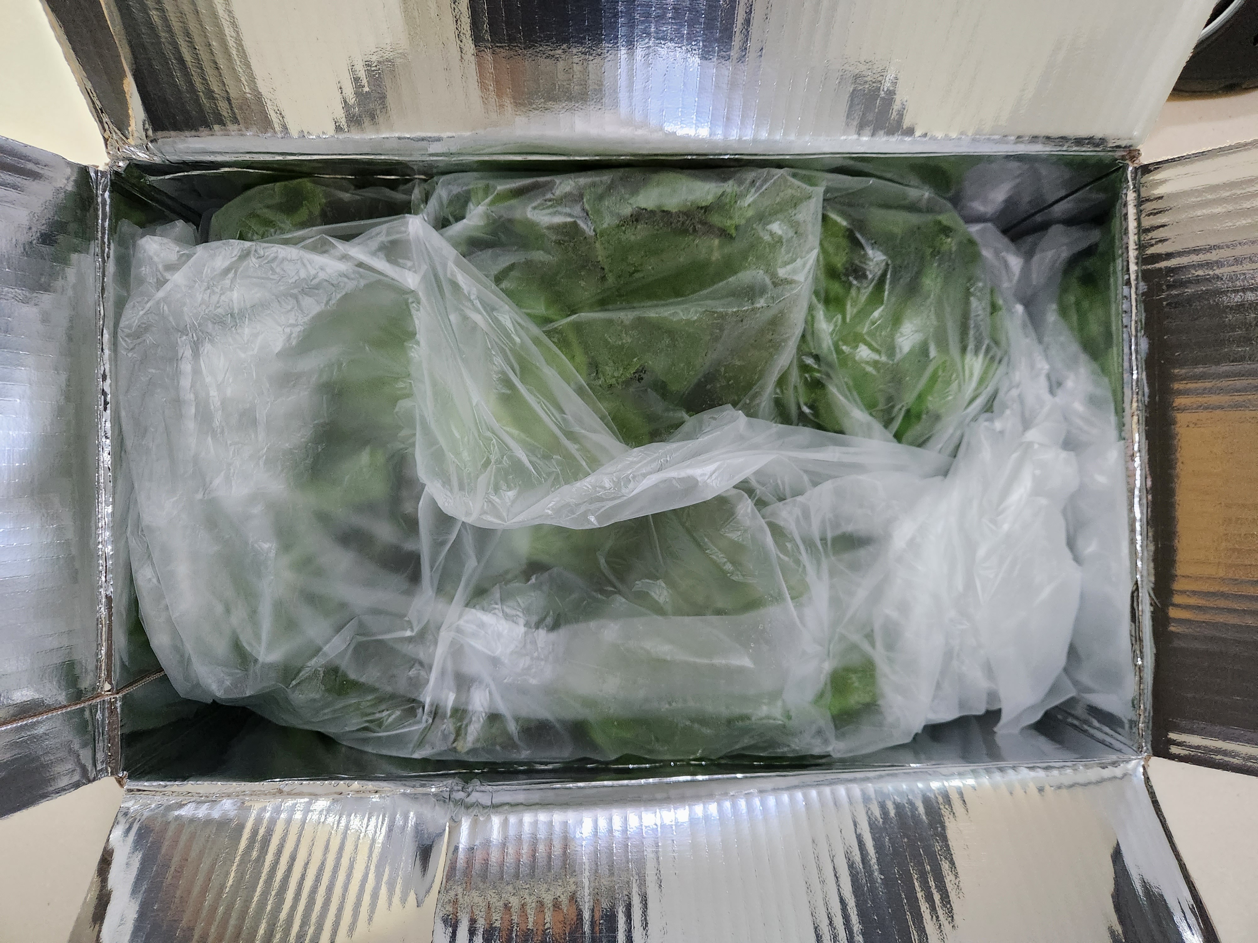 무농약 유럽 유러피안 샐러드 야채 쌈 채소 상추 1kg, 1개 이미지 4