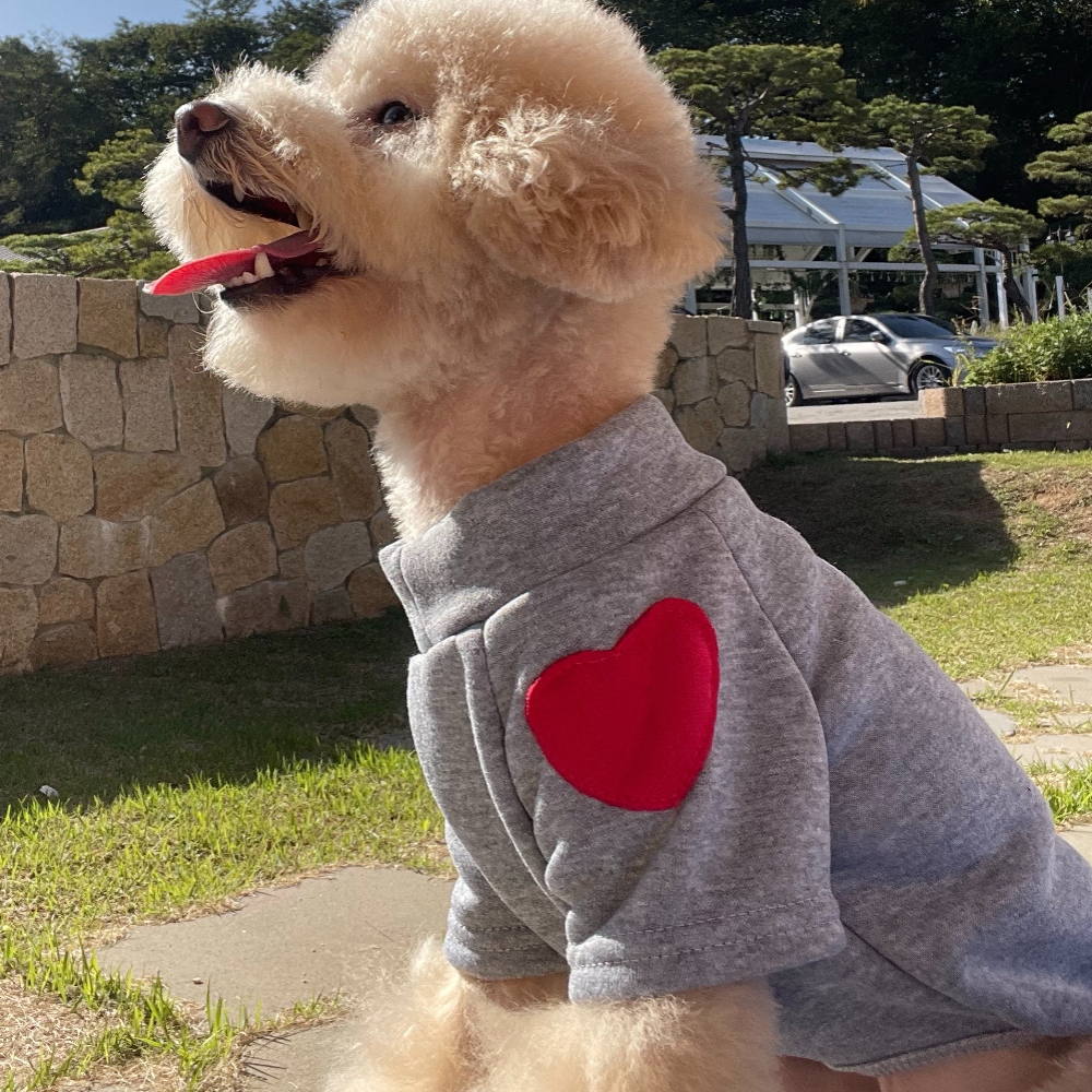강아지옷 강아지 겨울옷 실내복 하트시그널맨투맨티셔츠