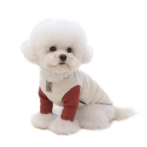 강아지옷 니트 티셔츠 실내복 코코넛니트 - 상세 이미지 2