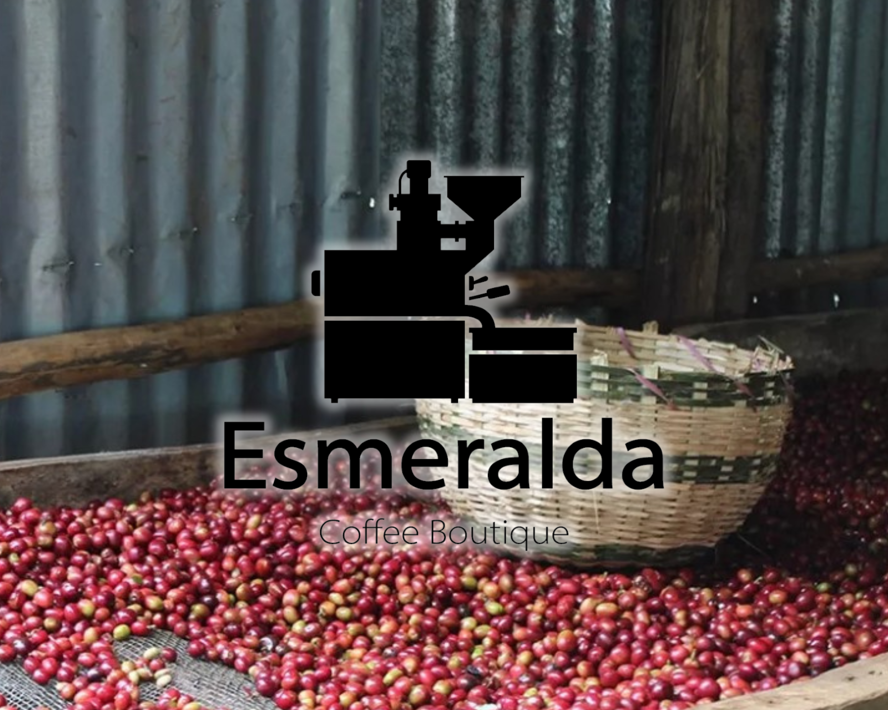 에티오피아 예가체프 아리차 G1 내추럴 1kg