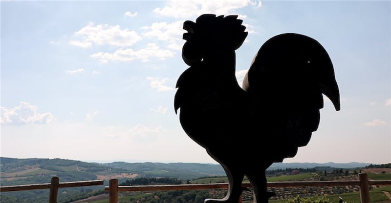 아름다운 두 마을과 와이너리를 방문하고 와인 시음하며 키안티 체험하기 솔직 후기 | 실사용자 리뷰 분석 - 대표 이미지