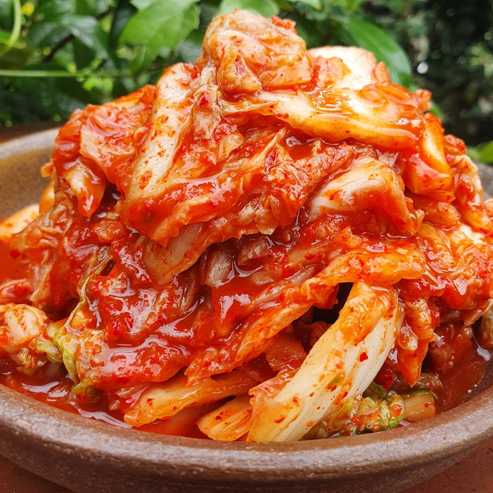 국산 배추김치 배추김치 추천 맛김치 후기 김치 구매가이드 5kg 10kg 김치