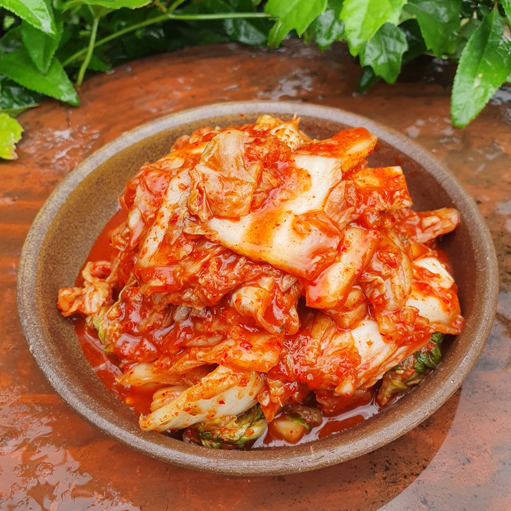 맛김치 국산 썰은 배추김치 5kg 10kg