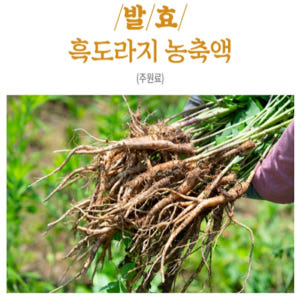 대동고려삼 구증구포 흑삼 발효 흑도라지 진액 스틱 농축액 사포닌 선물 1... 맛있게 먹은 솔직 후기 - 상품 이미지 3