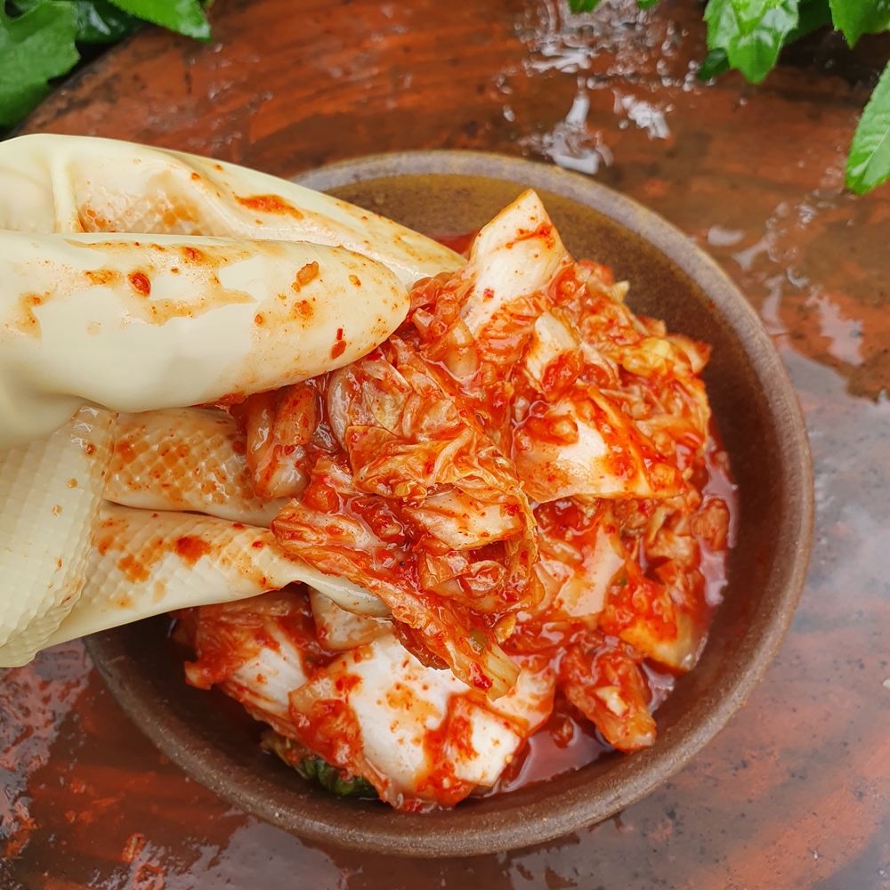 국산 배추김치 배추김치 추천 맛김치 후기 김치 구매가이드 5kg 10kg 김치