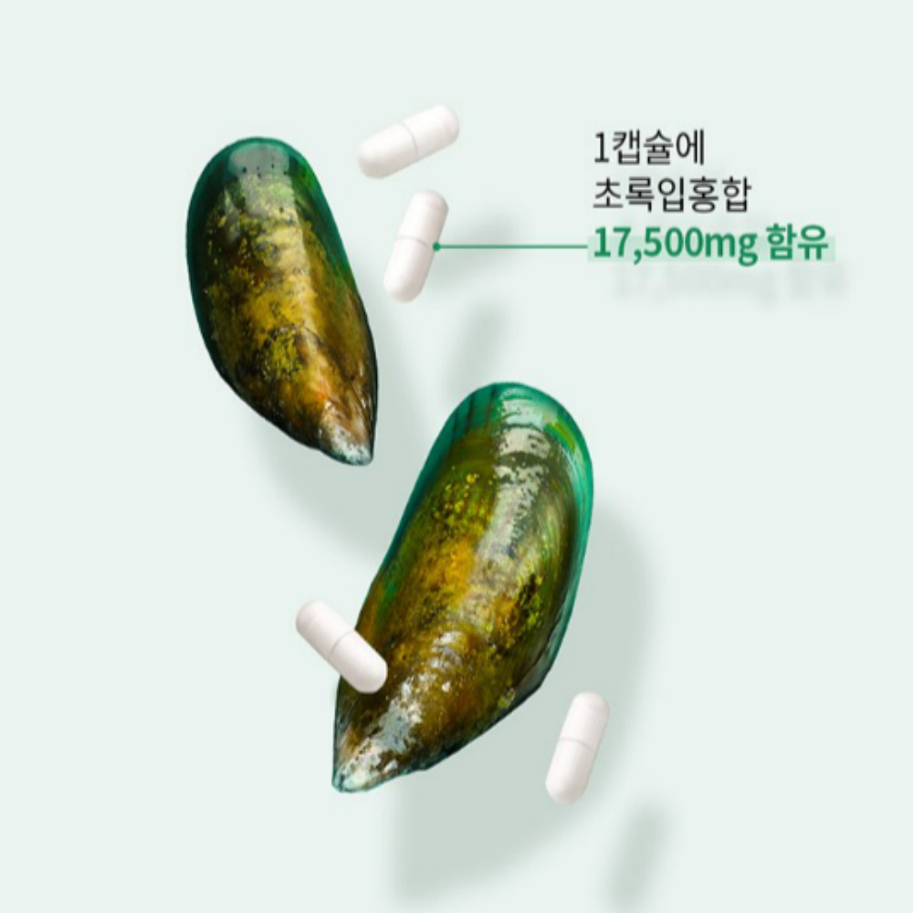 초록잎홍합영양제 뉴질랜드 초록홍합 코스트코 MUSSEL 무릎 관절 30캡슐 - 상세 이미지 2