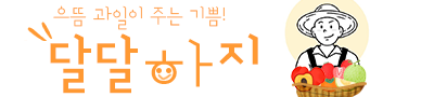 가정용 성주참외 꿀참외 꼬마 고당도 정품 못난이참외 2kg 3kg 5kg 10kg