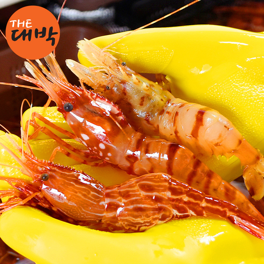 활 독도새우 꽃새우 닭새우 도화새우 1kg