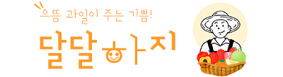 가정용 성주참외 꿀참외 꼬마 고당도 정품 못난이참외 2kg 3kg 5kg 10kg