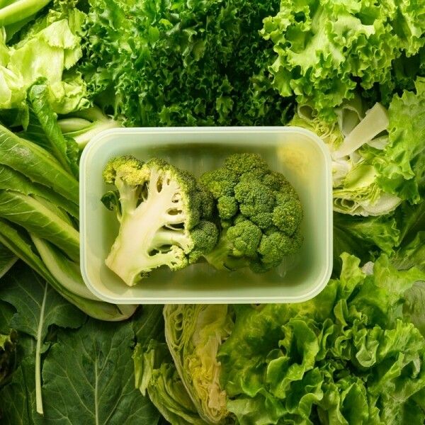 [N단독구성]락앤락 신선보관용기 스마트킵 프레쉬 10종 실속 세트