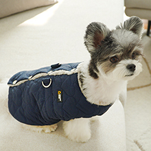 초코펫하우스 강아지패딩 하네스 강아지옷 산책왕 패딩 S