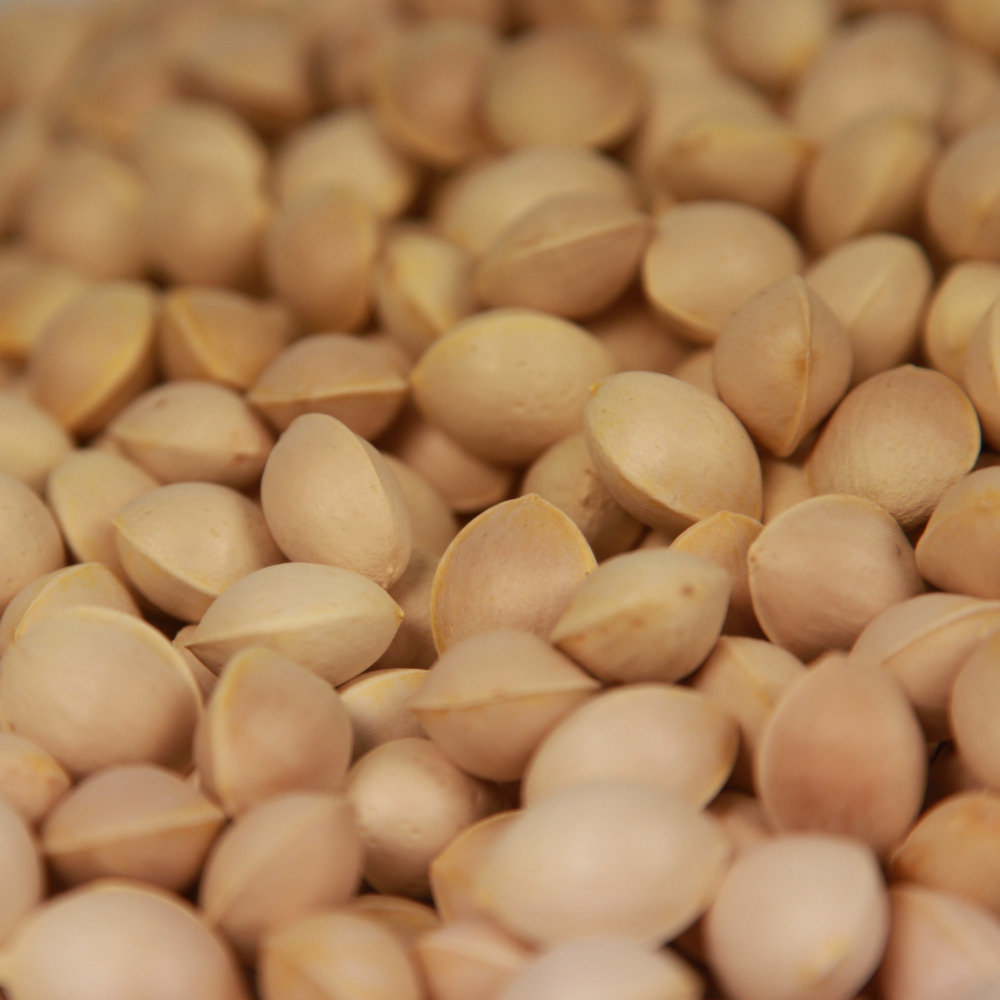 국산 은행 전북 순창 은행 피은행 깐은행 중/대/특 500g 1kg - 상세 이미지 2