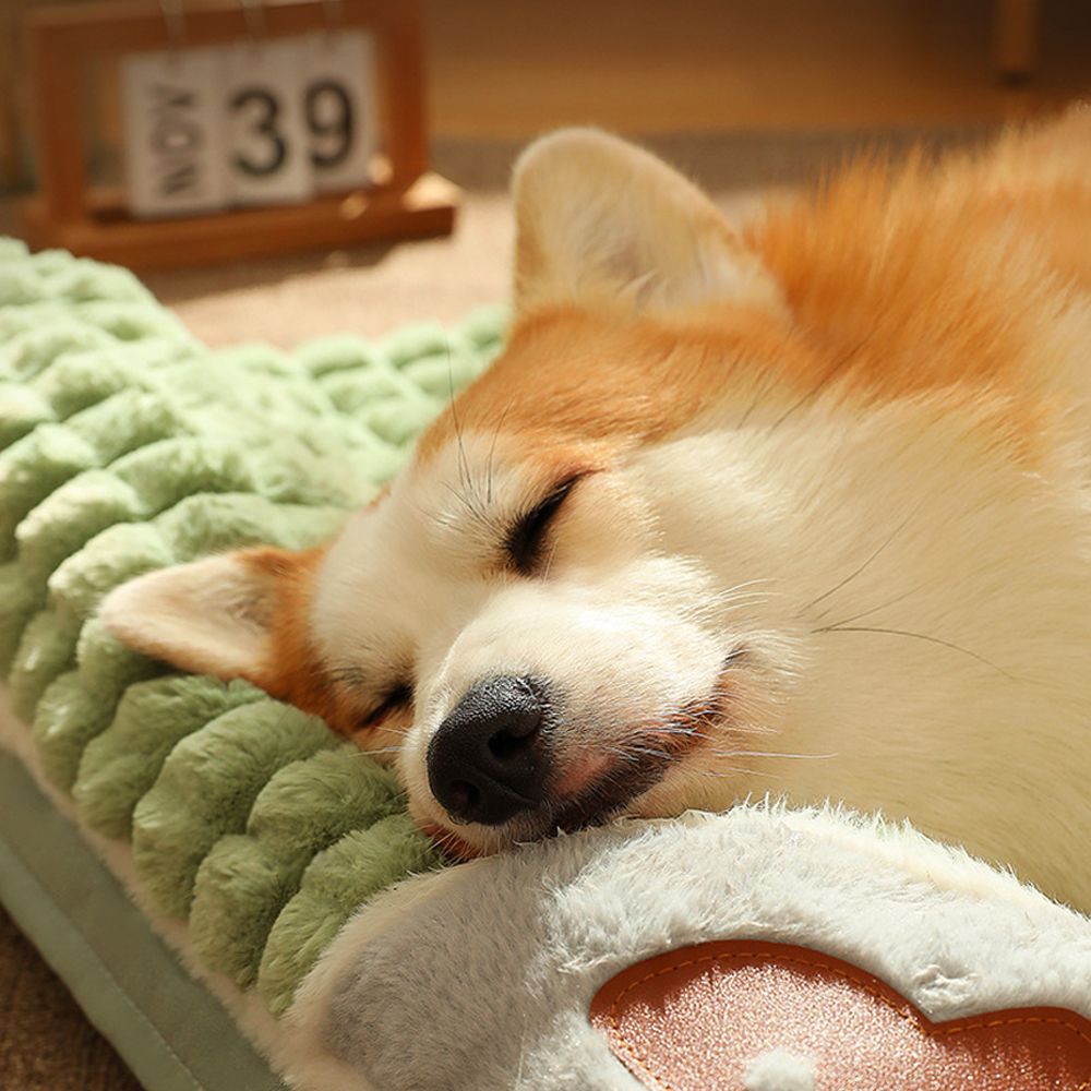 강아지 온열 매트 고양이 애견 베게 겨울 방석 침대 L - 상세 이미지 3