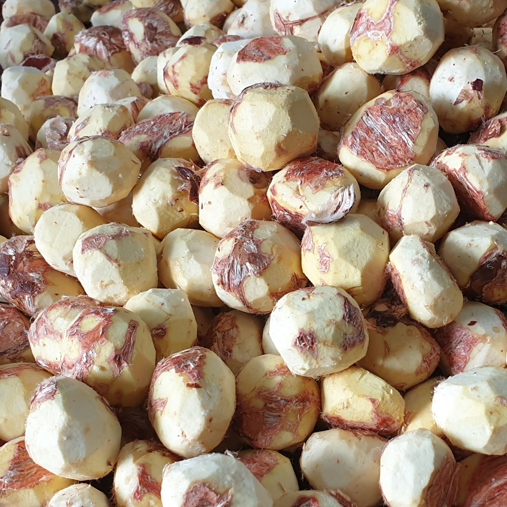 햇밤 유기농 부여밤 기계로깐 깐밤 700g (350g 2ea) - 상품 이미지