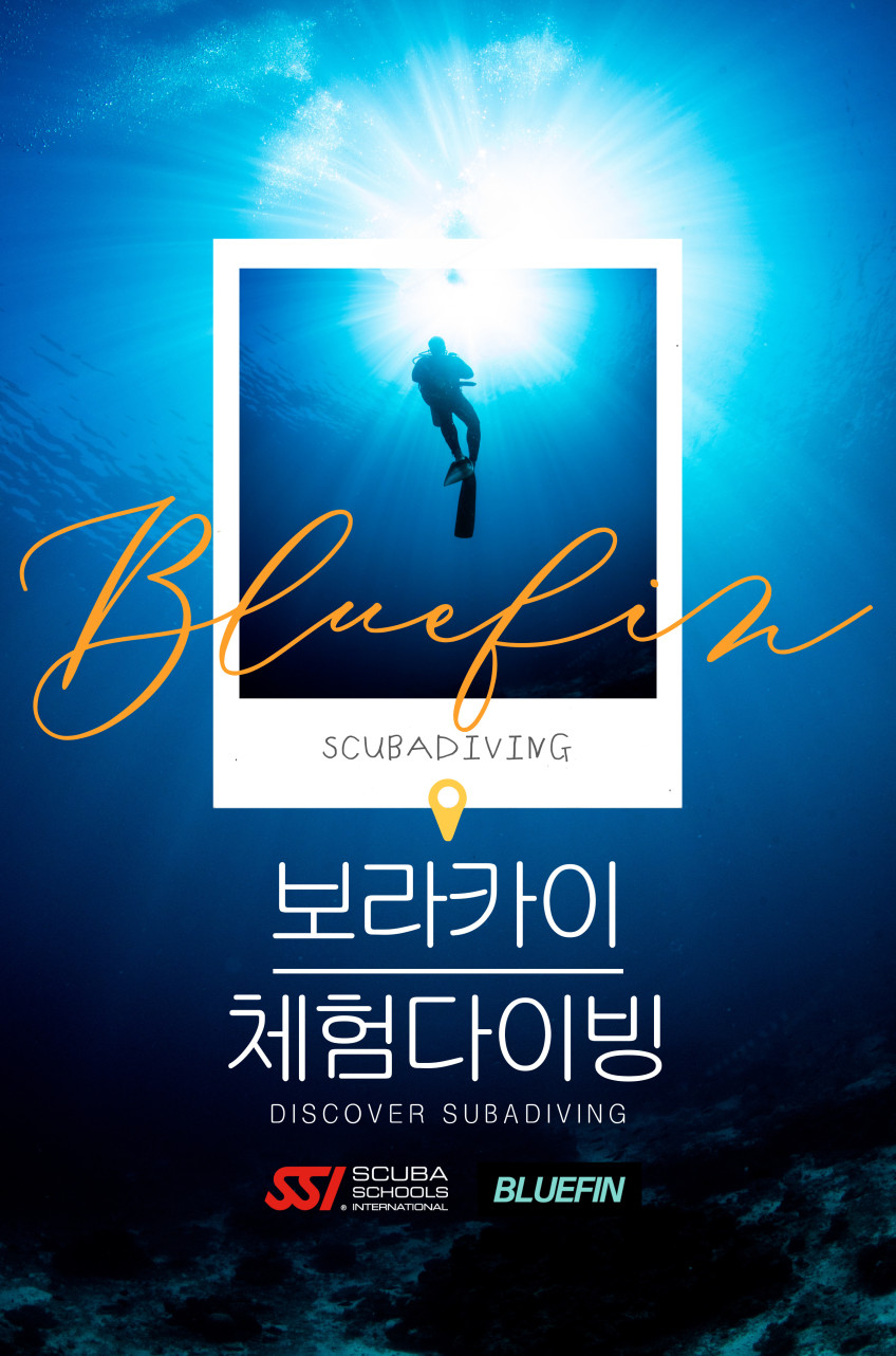 보라카이 스킨스쿠버 체험다이빙 액티비티 판매처 상세 정보 이미지 4