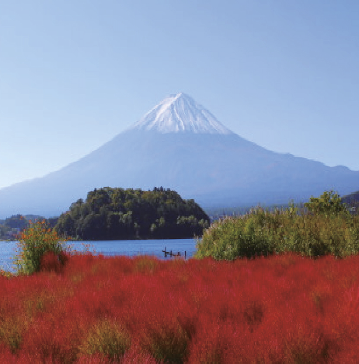 도쿄 후지산 포토스팟 가와구치코 오이시&센겐 공원&오시노 핫카이&로손 편의점 1일 버스투어