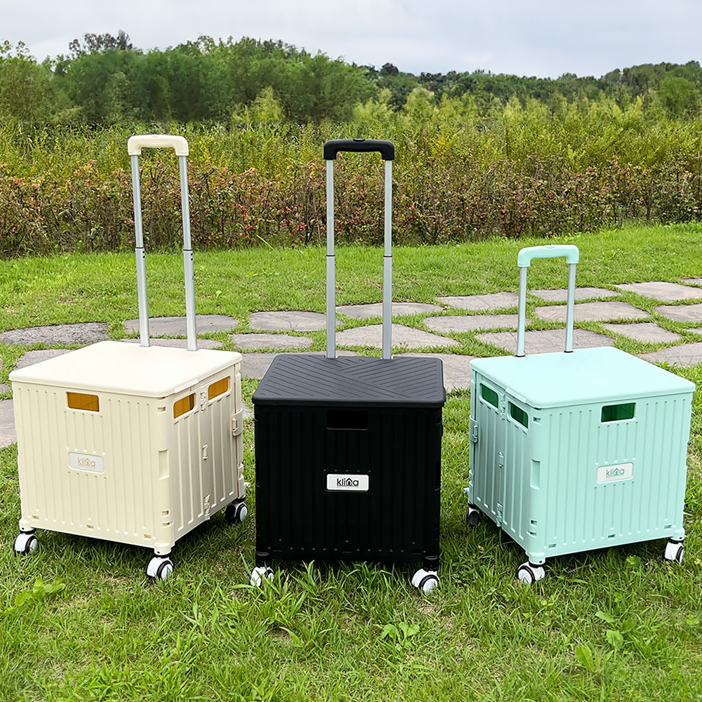 클리나 접이식 쇼핑카트 장바구니 핸드 캐리어 대형, 블랙