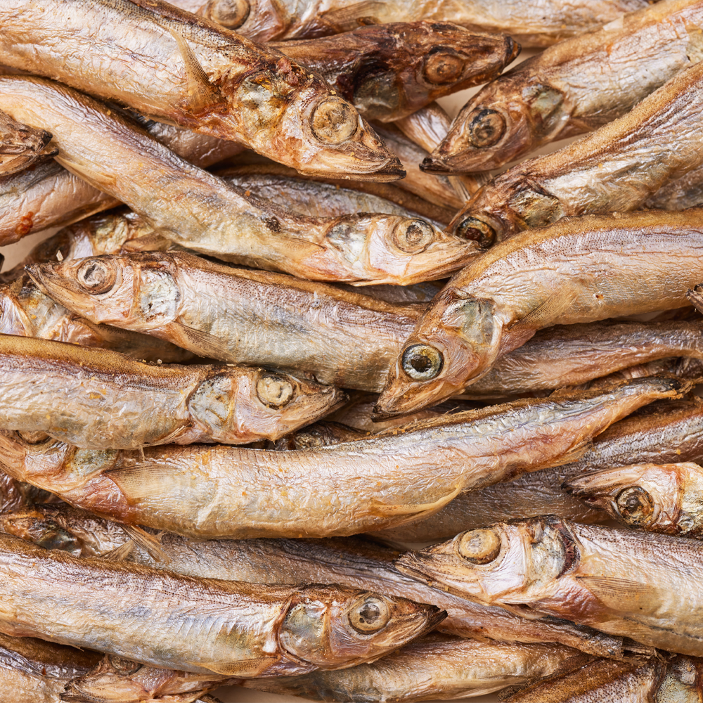 3651 바이츠 동결건조 대용량 고양이 트릿 간식 열빙어, 350g, 1개