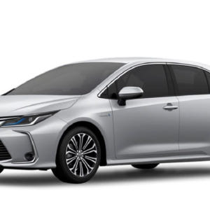 중국 심천 공항(SZX): 심천 왕복 프라이빗 픽업/샌딩 솔직 후기 | 실사용자 리뷰 분석 - 상품 이미지 3