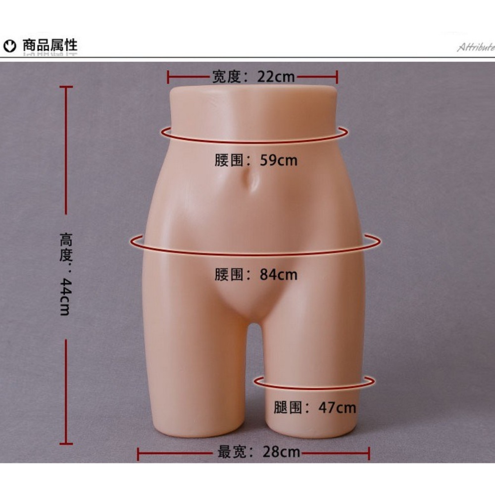 하반신 마네킹 팬티 반바지 바디 피팅용 - 상세 이미지 2