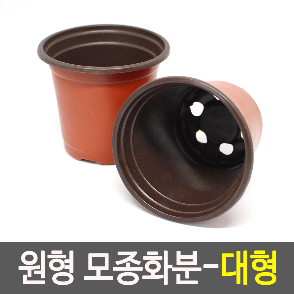 원형 플분 풀분 다육이 플라스틱 가벼운 연질 둥근 화분 대 - 상세 이미지 2