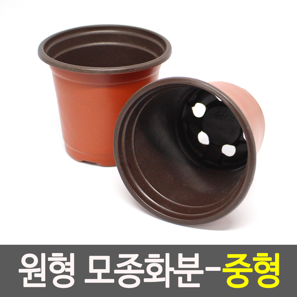 원형 플분 풀분 다육이 플라스틱 가벼운 연질 둥근 화분 중 - 상세 이미지 2