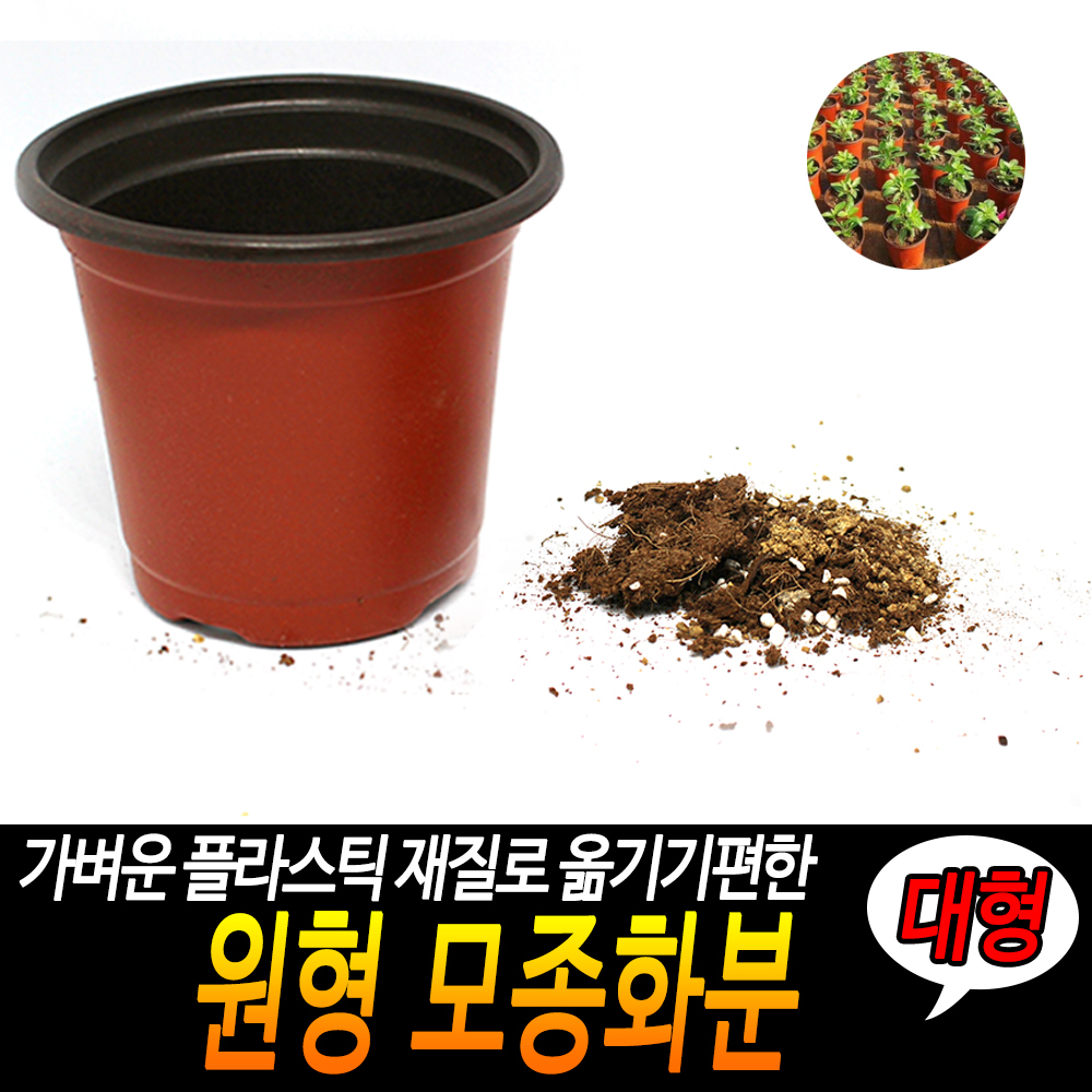 원형 플분 풀분 다육이 플라스틱 가벼운 연질 둥근 화분 대 - 상세 이미지 3