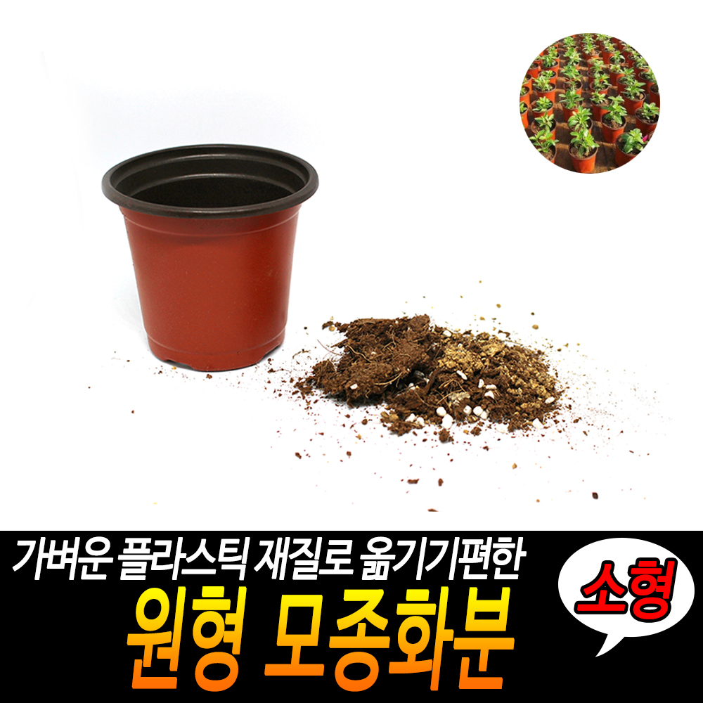 원형 플분 풀분 다육이 플라스틱 가벼운 연질 둥근 화분 소 - 상세 이미지 3