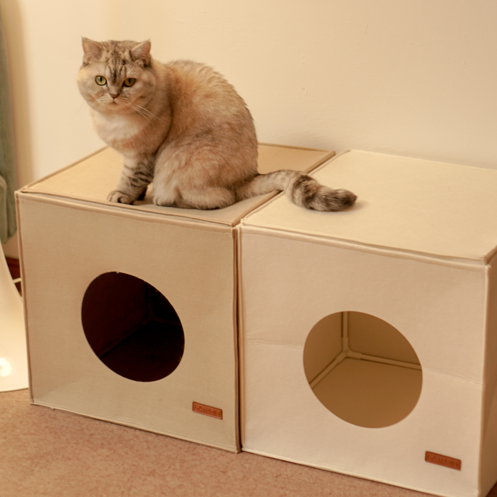 캣튜디오 고양이 숨숨집 큐브치즈 펠트 하우스