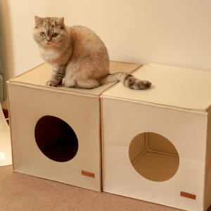 캣튜디오 고양이 숨숨집 큐브치즈 펠트 하우스 솔직 후기 | 실제 사용자 리뷰 총정리 - 상품 이미지 4