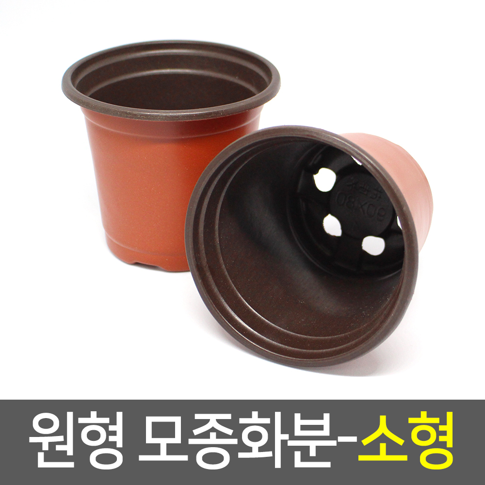 원형 플분 풀분 다육이 플라스틱 가벼운 연질 둥근 화분 소 - 상세 이미지 2