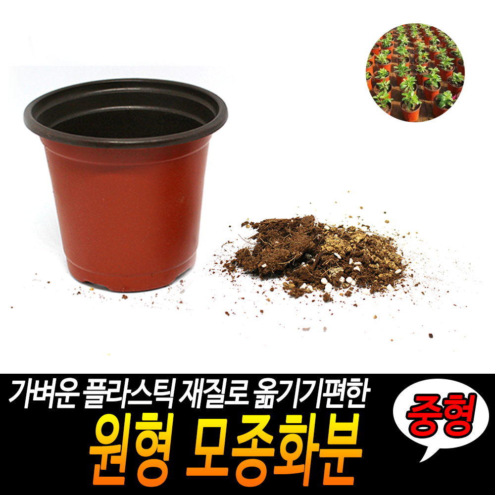 원형 플분 풀분 다육이 플라스틱 가벼운 연질 둥근 화분 중 - 상세 이미지 3