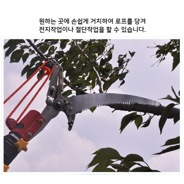 높은나무가지치기 나무고지가위 소나무 전지 가위 - 상세 이미지 5