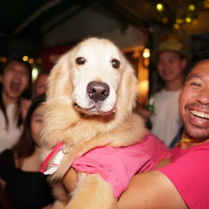 홍콩 3시간 동안 란콰이퐁 펍 크롤링 솔직 후기 | 실사용자 리뷰 분석 - 상품 이미지 4