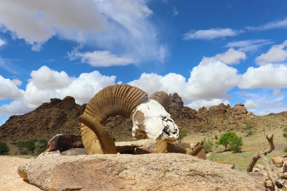 몽골 에픽 몽골리안 고비 자연 투어 4박 5일 이미지 4