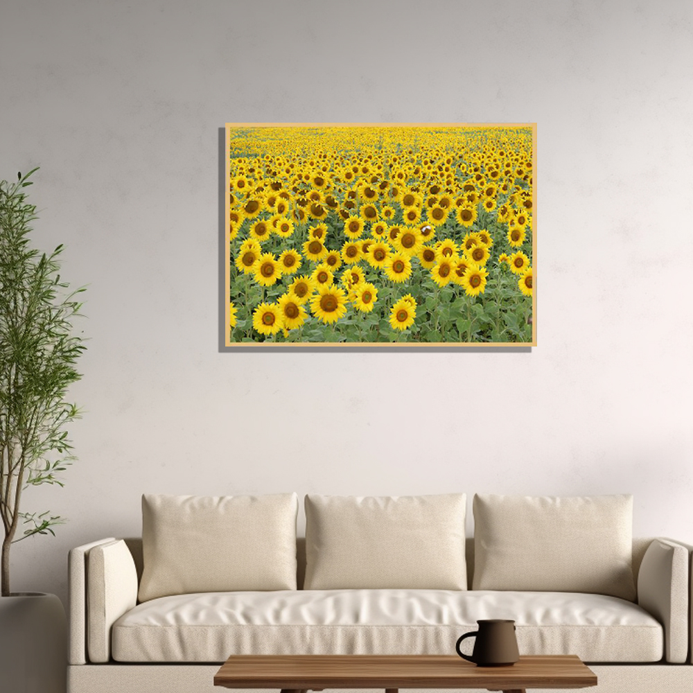 화창해바라기밭 A1 84.1X59.4cm 무광골드 알루미늄액자 복들어오는 그림 - 상세 이미지 2
