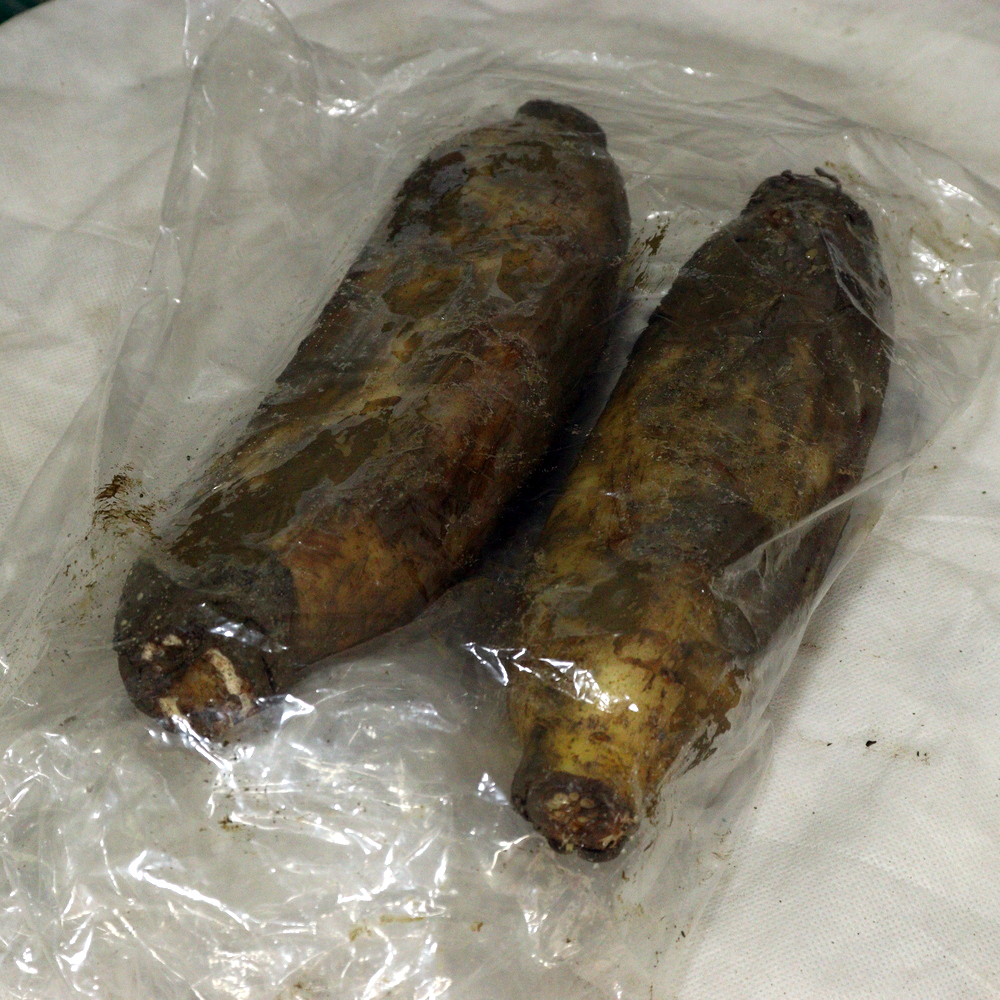 [포항시 배달] 싱싱한 연근 1kg [죽도 영식상회] : 동네시장 장보기